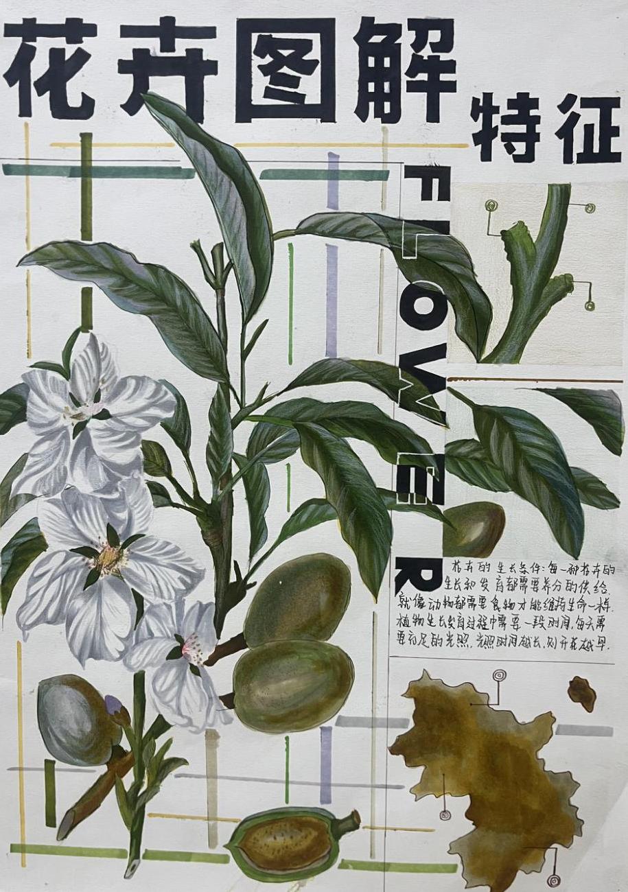 设计作品